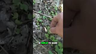 From Hobby to Millionaire: The Explosive Success of Demolition Ranch