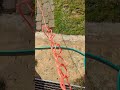 Best way to Untangle any Lead