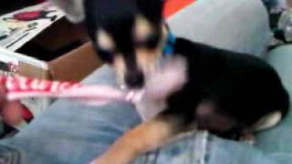VID 00004-20090911-1826