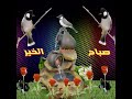 الطرا 