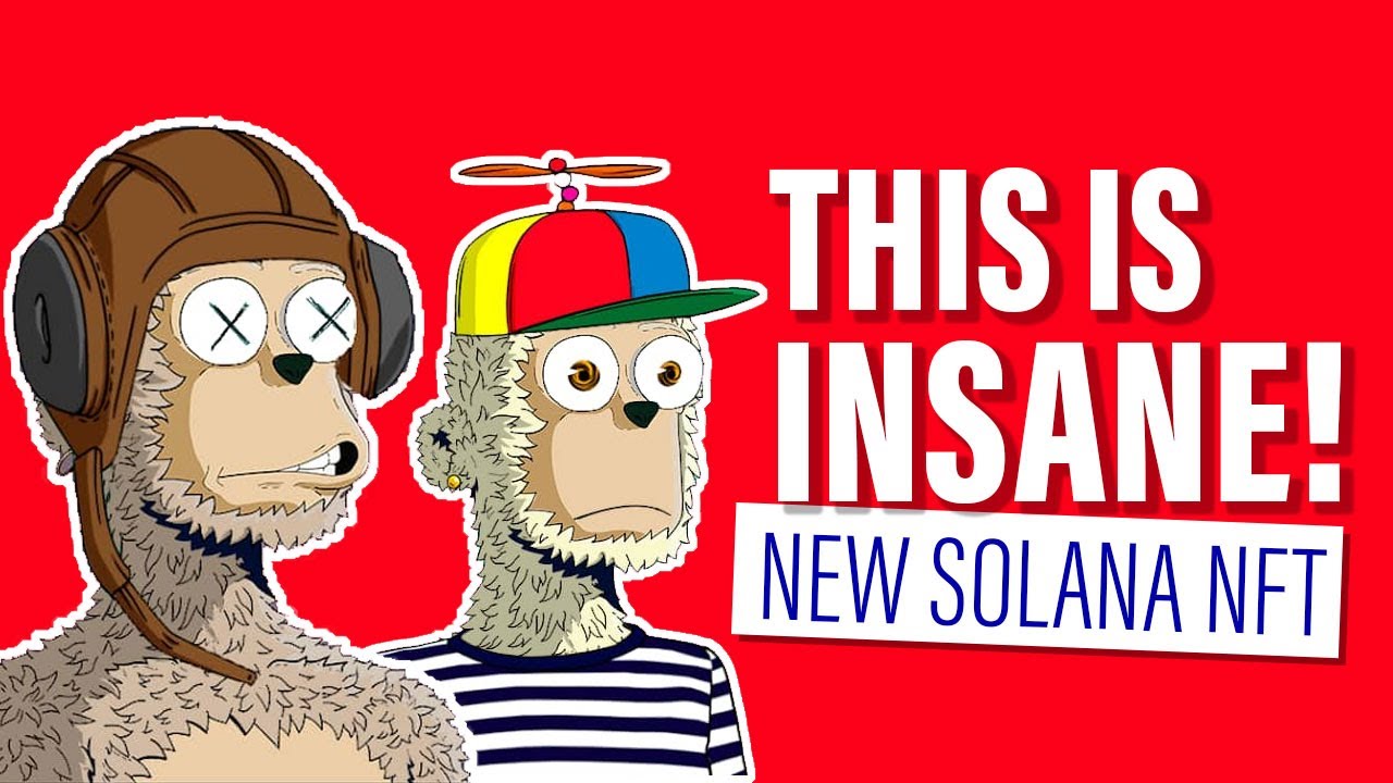 New Solana Nft Projects – WTF is y00ts NFT ? – y00ts Yacht Club and t00bs EXPLAINED! New Solana Nft Projects – WTF is y00ts NFT ? – y00ts Yacht Club and t00bs EXPLAINED!