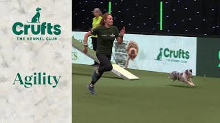 Agility  Singles Final Small, Medium, Intermediate and Large Part 1 (Agility) | ​Crufts 2024