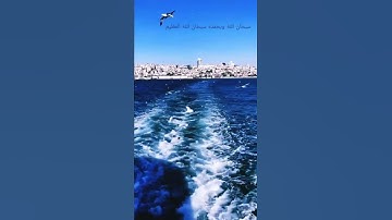 سورة الواقعه بصوت القارئ الشيخ خالد الجليل✨ من اجمل الاصوات على الاطلاق🦋 تلاوة خاشعه 🥺❤️