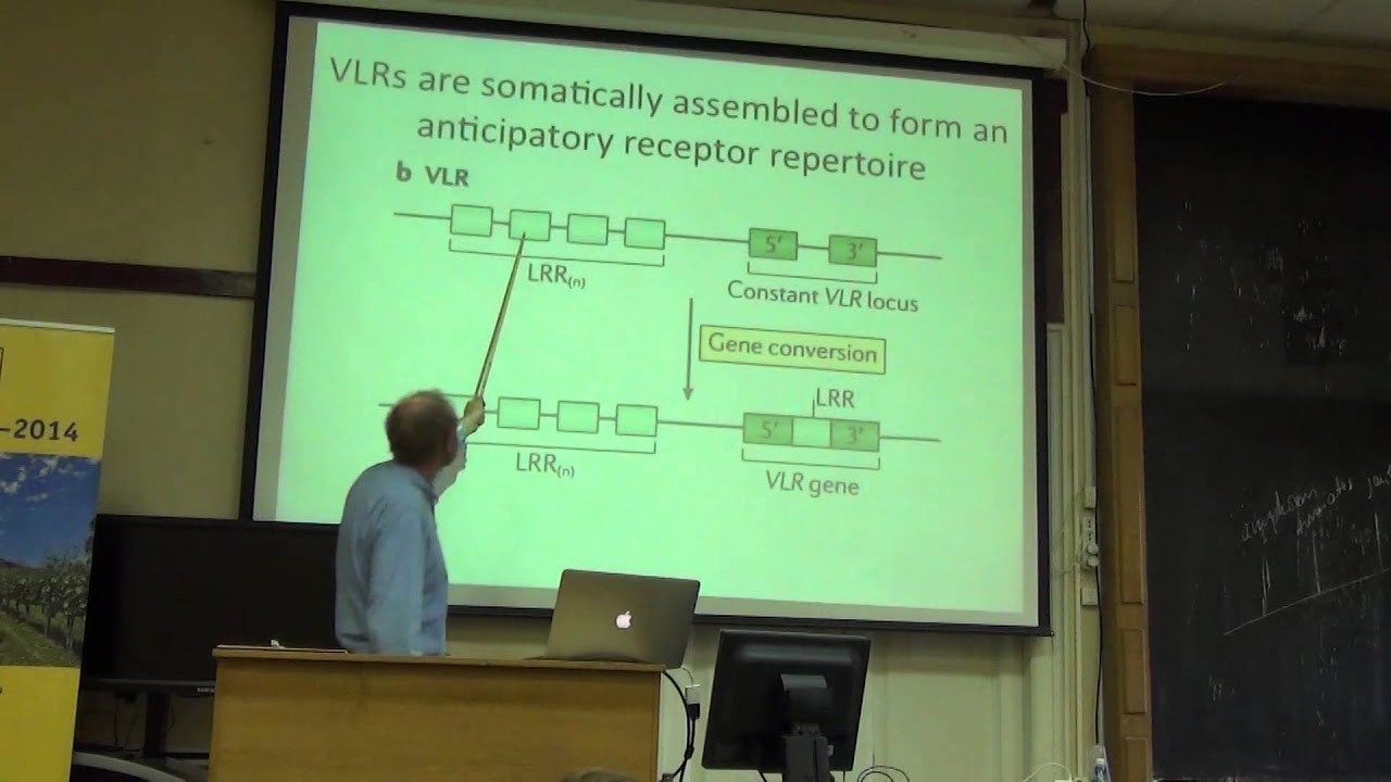 3. The molecular basis of adaptive immunity in jawless fishes | Thomas Boehm | Лекториум