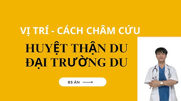 Thận du | Cách xác định vị trí huyệt Đại trường du, châm cứu huyệt trị Thận hư