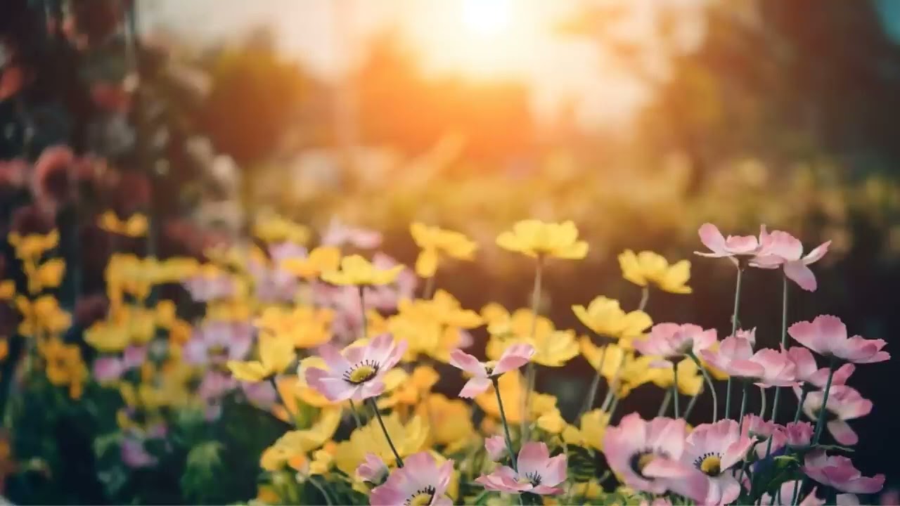 Ошо - Никого нет Кроме тебя!