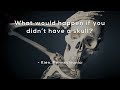 The Fascinating Role of the Skull in Human Anatomy