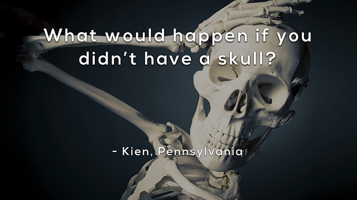 What would happen if you didn't have a skull?