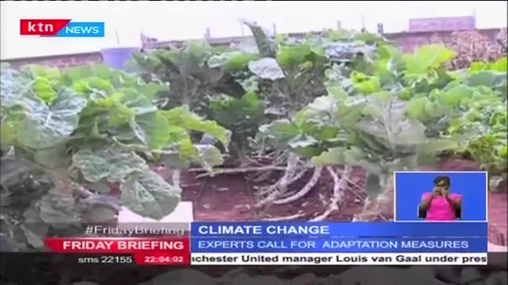 Effects of Climate Change are a threat to Kenya’s food security, warns agricultural experts