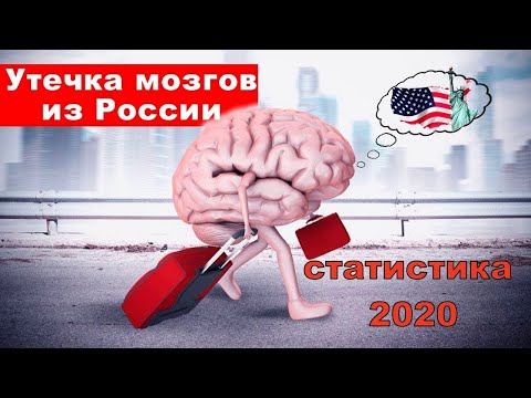 Сколько уехало из России в 2020 году. Эмиграция в России 2020