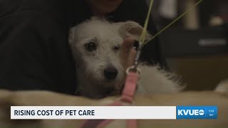 How to navigate rising pet care costs amid inflation