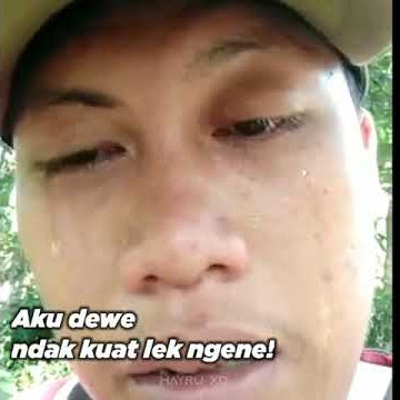 VELOCITY SAD MEME (nembak cewe galak berujung kena gampar ukulele:v)
