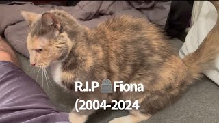 Goodbye, Fiona 20042024 RIP.