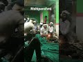 pataniya 2023