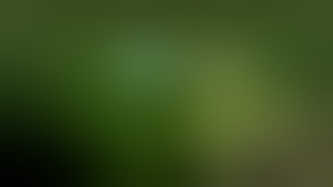 Kratom Alkaloid Extraction Acid/Base