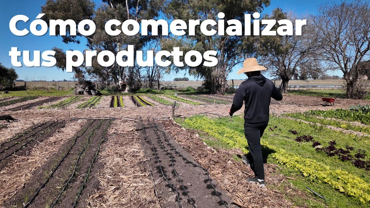 Cómo vendemos lo que cosechamos: guía de comercialización de productos agroecológicos