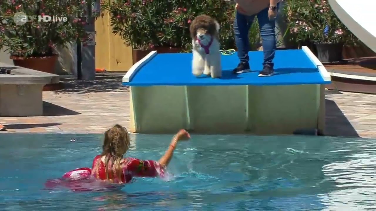 Dockdiving feature ZDF Germany