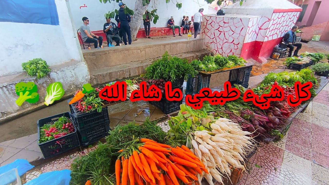 سوق كريشتل بوهران جنة الخضر الطازجة كل شيء طبيعي ما شاء الله