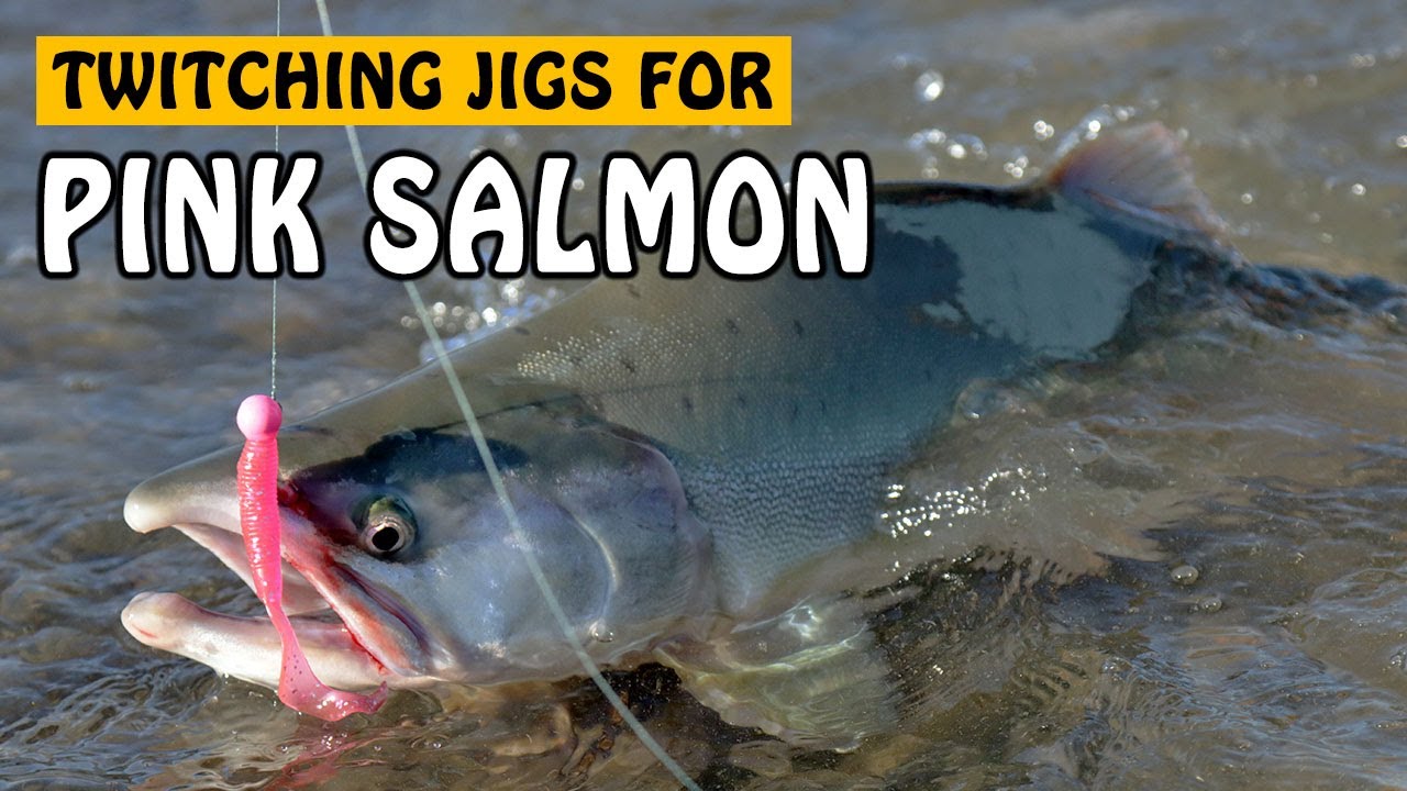Pink Salmon Cannot Resist a Twitching Jig  Fishing with Rod #salmonfishing  #pinksalmon #fishing 