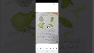 مراحل دورة حياة الضفدع من المرحلة الأولى إلى المرحلة الرابعة