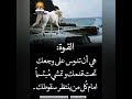 سؤال ملهوش جواب