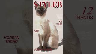 Siamese cat edit #edit #cat #capcut￼