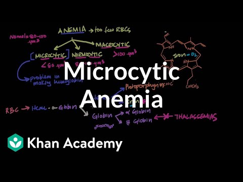 Microcytic anemia | Hematologic System Diseases | NCLEX-RN | Khan Academy