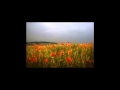 Miniature de la vidéo de la chanson Poppies