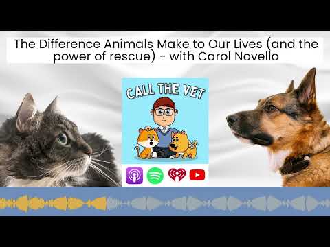 The Difference Animals Make to Our Lives (and the power of rescue) - with Carol Novello