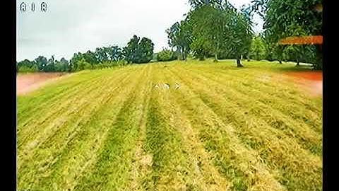 IFlight Nazgul 5 - DJI Goggles - Analog Mod & TBS Fusion