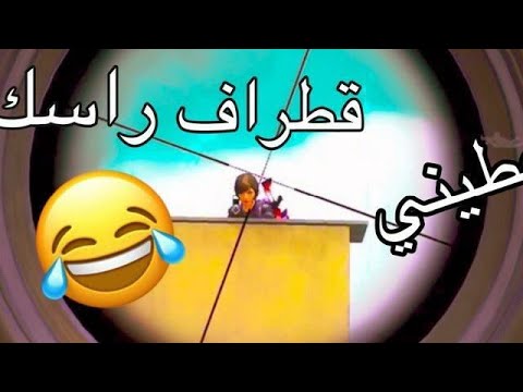 عطيني قطراف راسك ببجي موبايل