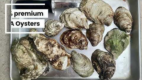 Integrated-multi trophic aquaculture approach