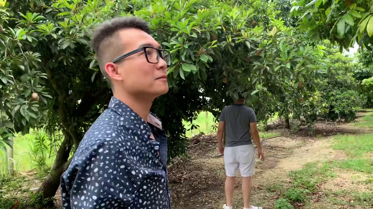 Fruit Farm in Homestead Florida ( Vuon trai cay ) Viet kieu o Florida