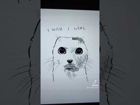 hello everynyan! #funny