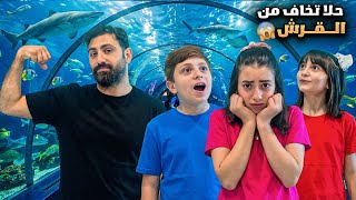 عيلة فنية في تركيا - حلا عندها خوف من البحر والقروش 😱🦈 أشرف اخدها على اكبر اكواريوم بتركيا !! 🇹🇷