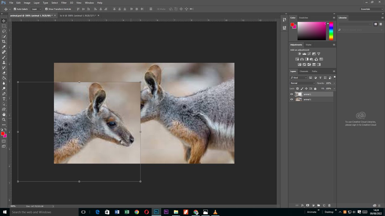 ⁣How to Mirror an Image in Photoshop in just 5 minutes - Fast & Easy!