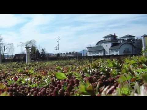 Video: Načrtovanje, Montaža In Vzdrževanje Upravljanih Streh In Ozelenitev Streh