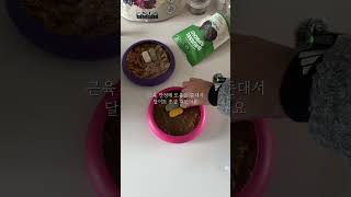 한방재료까지 섭렵한 강쥐들