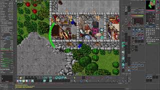 Tibia Global Peloria RP 333