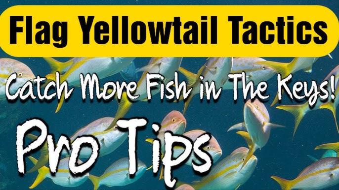 How To Rig For Yellowtail Snapper Fishing - Mustad Hooks 