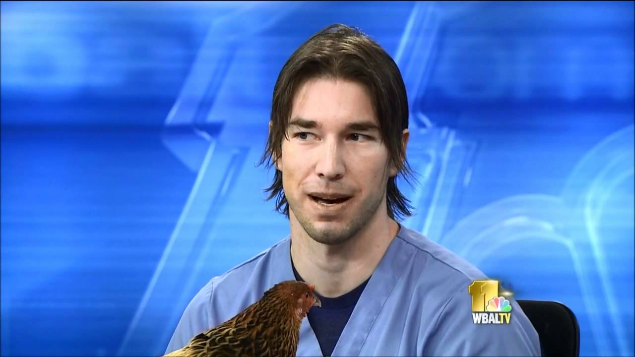 Q&A: Pet Obediance Training and Diagnosing Pet Allergies