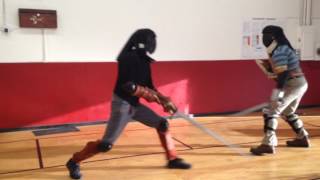 Longsword vs sword and shield