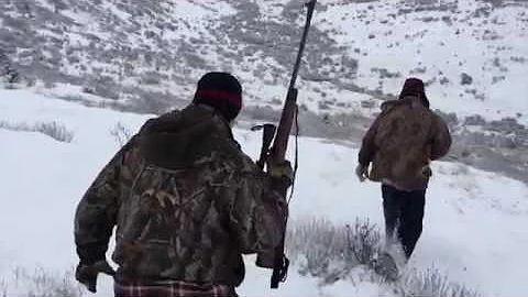 Faro Yukon Moose Hunt 4K