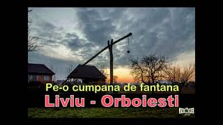 Pe-O Cumpana De Fantana-Liviu De La Orboiesti Live Melodii De Sprit Si Ascultare Vechi