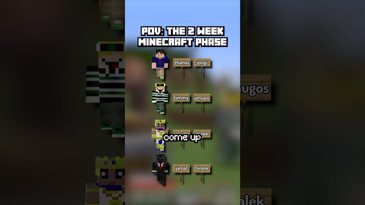 The normal Minecraft 2 week phase w friends! #minecraftmemes