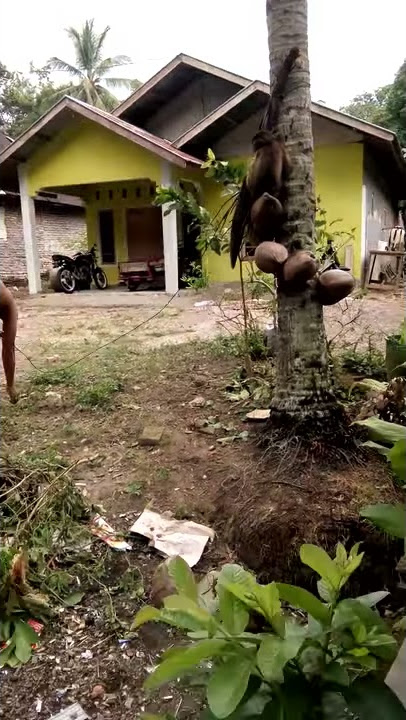 Sekolah baruak(2)