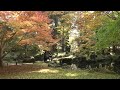 戦国時代に武将が造り上げた北畠氏館跡庭園 素朴で豪放 イロハモミジに石組