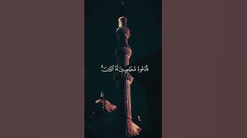 هو الحي لا إله إلا هو فادعوه مخلصين له الدين الحمد لله رب العالمين - سورة غافر - أحمد النفيس
