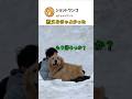 こんなに好きになるとは···