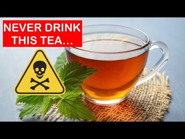 5 DANGEROUS TEAS! NEVER DRINK THIS TEA class=